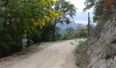 Randonnée Marche Roquebrune-sur-Argens - sentier au fil de l eau - Photo 5