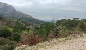 Percorso Marcia Roquebrune-sur-Argens - sentier au fil de l eau - Photo 6