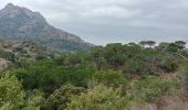 Tocht Stappen Roquebrune-sur-Argens - sentier au fil de l eau - Photo 7