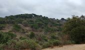 Percorso Marcia Roquebrune-sur-Argens - sentier au fil de l eau - Photo 8