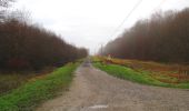 Randonnée Marche Oigny-en-Valois - en forêt de Retz_61_Oigny en Valois_les bordures de la route de Hauwison_AR - Photo 18