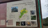 Percorso Marcia Bormes-les-Mimosas - bormes tour des caunes 30 janvier - Photo 6