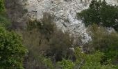 Trail Walking Bormes-les-Mimosas - bormes tour des caunes 30 janvier - Photo 5