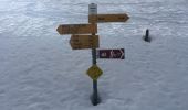 Excursión Raquetas de nieve Troistorrents - Foilleuse - Madzé - Savolaire - Champarin - Morgins - raq  - Photo 1