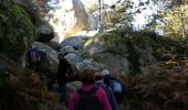 Trail Walking Fontainebleau - Rocher Canon variante - Photo 3
