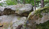 Trail Walking Fontainebleau - Rocher Canon variante - Photo 1