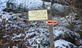 Trail Snowshoes Abondance - Les Carres - les Ouyes - le Chon - la Plagne - les Ogays - les Carres - raq  - Photo 5