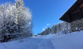 Tour Schneeschuhwandern Abondance - Les Carres - les Ouyes - le Chon - la Plagne - les Ogays - les Carres - raq  - Photo 4