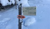 Percorso Racchette da neve Abondance - Les Carres - les Ouyes - le Chon - la Plagne - les Ogays - les Carres - raq  - Photo 3