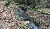 Tour Wandern Guipry-Messac - 02.02.2018 - Chaumeray et Phily - Photo 2