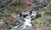 Tour Wandern Baelen - Entre la hello et  la Soor - Photo 3