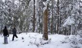 Trail Snowshoes Corrençon-en-Vercors - corrençon Combe du souillet (Clos de la Balme ) - Photo 1