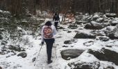 Trail Nordic walking Jalhay - solwaster_04_02_2018 - Photo 13