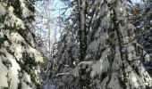 Excursión Raquetas de nieve Bussang - le haut du rouge gazon depuis l'arsenaire - Photo 2