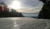 Excursión Raquetas de nieve Bussang - le haut du rouge gazon depuis l'arsenaire - Photo 3