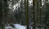 Excursión Raquetas de nieve Bussang - le haut du rouge gazon depuis l'arsenaire - Photo 6