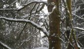 Excursión Raquetas de nieve Bussang - le haut du rouge gazon depuis l'arsenaire - Photo 9