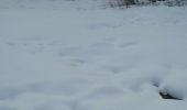 Excursión Raquetas de nieve Bussang - le haut du rouge gazon depuis l'arsenaire - Photo 10