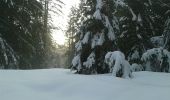 Excursión Raquetas de nieve Bussang - le haut du rouge gazon depuis l'arsenaire - Photo 11