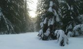 Excursión Raquetas de nieve Bussang - le haut du rouge gazon depuis l'arsenaire - Photo 12