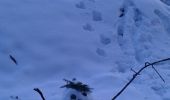 Excursión Raquetas de nieve Bussang - le haut du rouge gazon depuis l'arsenaire - Photo 13