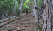 Trail Mountain bike La Roche-des-Arnauds - VTT11 - La rando du facteur - Photo 7