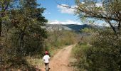 Trail Mountain bike Veynes - VTT10 - Veynes-Aspres par les chemins - Photo 2