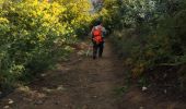Trail Walking Pégomas - Pégomas - Souteon - Photo 3