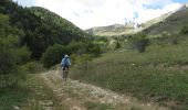 Trail Mountain bike Le Dévoluy - VTT16 - Boudelle - Photo 3