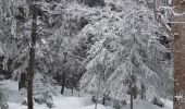 Randonnée Raquettes à neige Corrençon-en-Vercors - Corrençon - Baraque de Malaterre - Circuits 6+2+6 - Photo 4