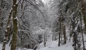 Tocht Sneeuwschoenen Corrençon-en-Vercors - Corrençon - Baraque de Malaterre - Circuits 6+2+6 - Photo 2
