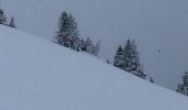 Randonnée Raquettes à neige Bellevaux - Rando ski  Combe suspendue et col du  Graydon  - Photo 2