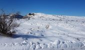Randonnée Raquettes à neige Caussols - isola direction lac terre rouge B 92 - Photo 8