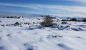Randonnée Raquettes à neige Caussols - isola direction lac terre rouge B 92 - Photo 6