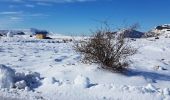 Excursión Raquetas de nieve Caussols - isola direction lac terre rouge B 92 - Photo 5