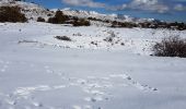 Percorso Racchette da neve Caussols - isola direction lac terre rouge B 92 - Photo 2
