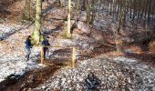 Trail Nordic walking Spa - Autour_Niveze_12_02_2018 - Photo 11