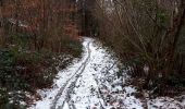 Tour Nordic Walking Spa - Autour_Niveze_12_02_2018 - Photo 9