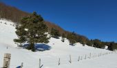 Randonnée Raquettes à neige Châtillon-en-Diois - 2018-02-13 Vallon de  Combau  - Photo 12