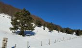 Percorso Racchette da neve Châtillon-en-Diois - 2018-02-13 Vallon de  Combau  - Photo 12