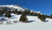 Randonnée Raquettes à neige Châtillon-en-Diois - 2018-02-13 Vallon de  Combau  - Photo 11