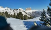 Randonnée Raquettes à neige Châtillon-en-Diois - 2018-02-13 Vallon de  Combau  - Photo 10