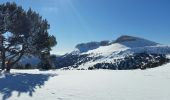 Percorso Racchette da neve Châtillon-en-Diois - 2018-02-13 Vallon de  Combau  - Photo 9