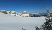 Randonnée Raquettes à neige Châtillon-en-Diois - 2018-02-13 Vallon de  Combau  - Photo 8