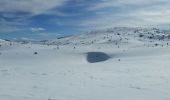 Randonnée Raquettes à neige Châtillon-en-Diois - 2018-02-13 Vallon de  Combau  - Photo 4