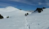 Randonnée Raquettes à neige Châtillon-en-Diois - 2018-02-13 Vallon de  Combau  - Photo 3