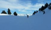 Randonnée Raquettes à neige Châtillon-en-Diois - 2018-02-13 Vallon de  Combau  - Photo 2