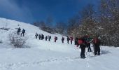 Trail Snowshoes Arrens-Marsous - arrens les granges de Berbeillet-fait - Photo 1