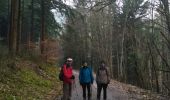 Tour Wandern Sulzmatt - Bannstein - Wintzfelden (15/02/2018) - Photo 1