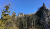 Tour Wandern Hastière - Les Cascatelles et les points de vues de Waulsort - Photo 2